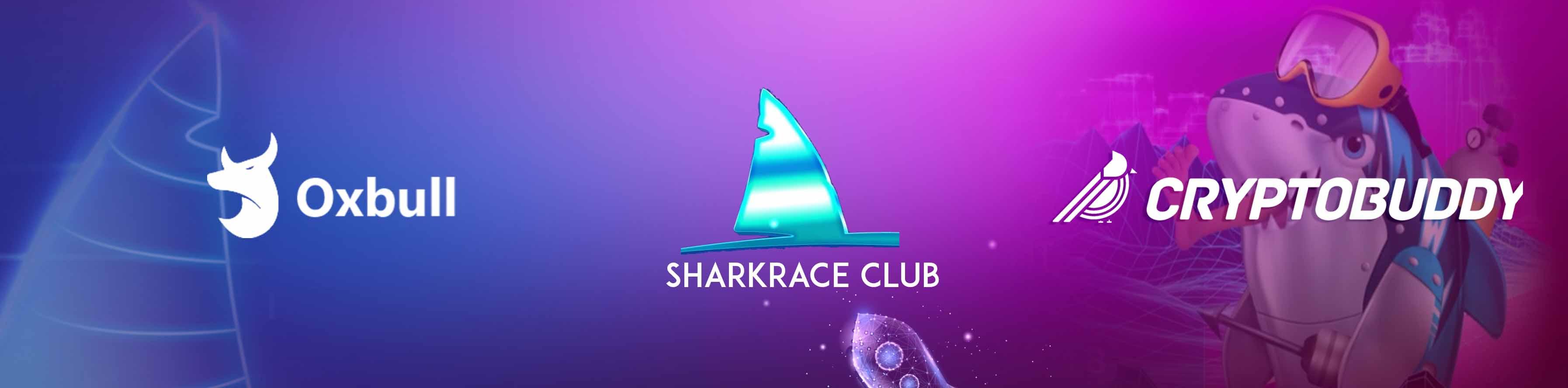 Shark Race Club Oxbull IDO - Whitelist for Cryptobuddy Community