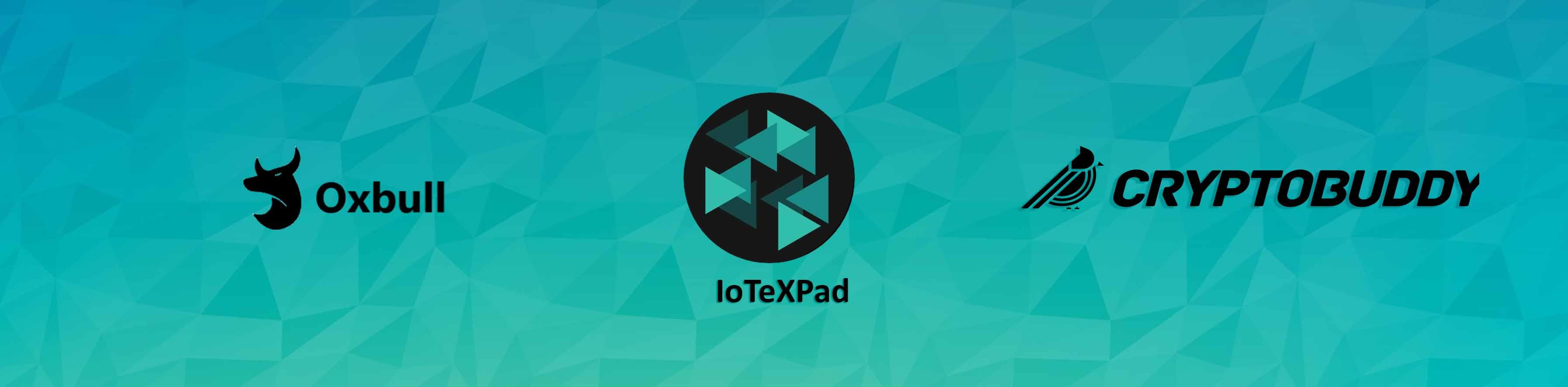 IoTeXPad Oxbull IDO - Whitelist for Cryptobuddy Community